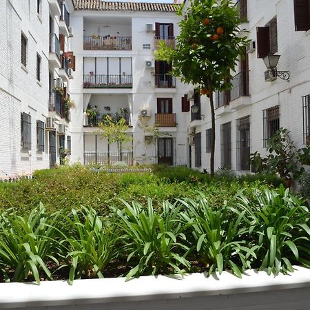 Apartmán La Casa De Jose Manuel Sevilla Exteriér fotografie